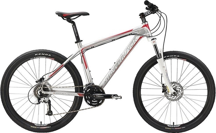 Bicicleta Silverback Stride 10 (L)